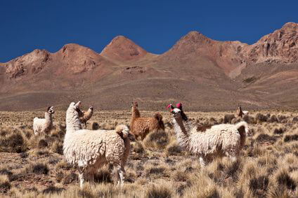 Peru Country