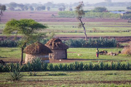 Tansania Country