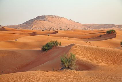 Vereinigte Arabische Emirate Country