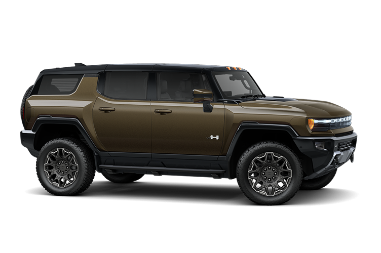 Luxury Electric Vehicle