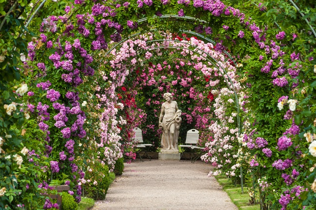 Single.de baden baden