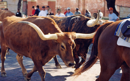 Fort Worth Stockyards