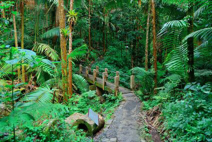 Ponce Puerto Rico Car Rental Deals Ponce Puerto Rico Car Rental Deals