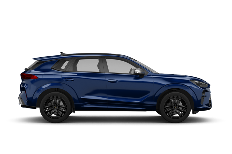 Cupra Terramar 6 M Automatik Modellgarantie