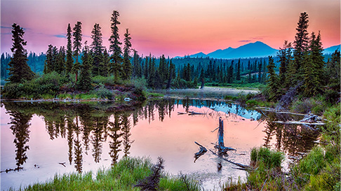 Wrangell St Elias National Park