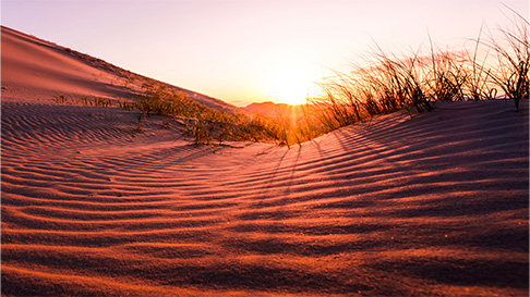 Kelso Dunes