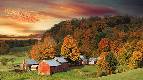 Jenne Farm