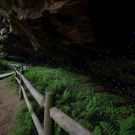 Pickett State Park, Tennessee