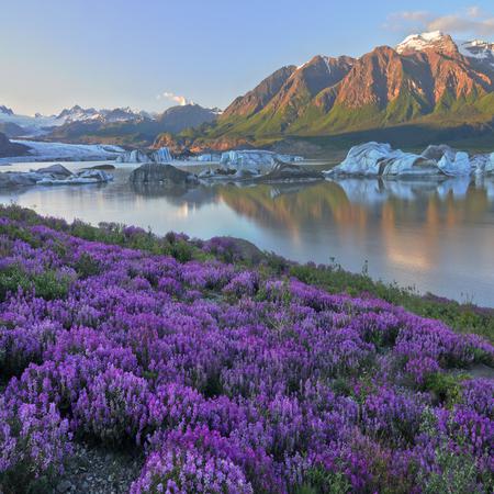 Wrangell-St. Elias National Park & Preserve, Alaska