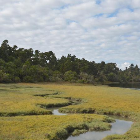 Humboldt Bay National Wildlife Refuge, Loleta, California