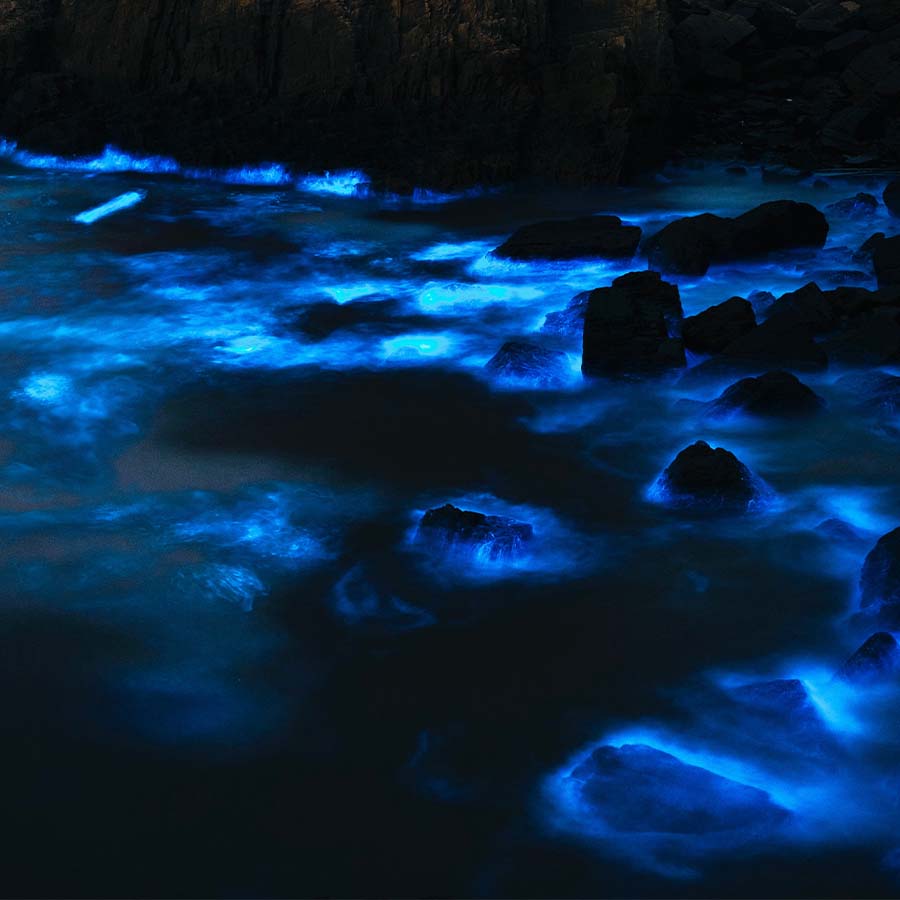 San Juan Island, Washington