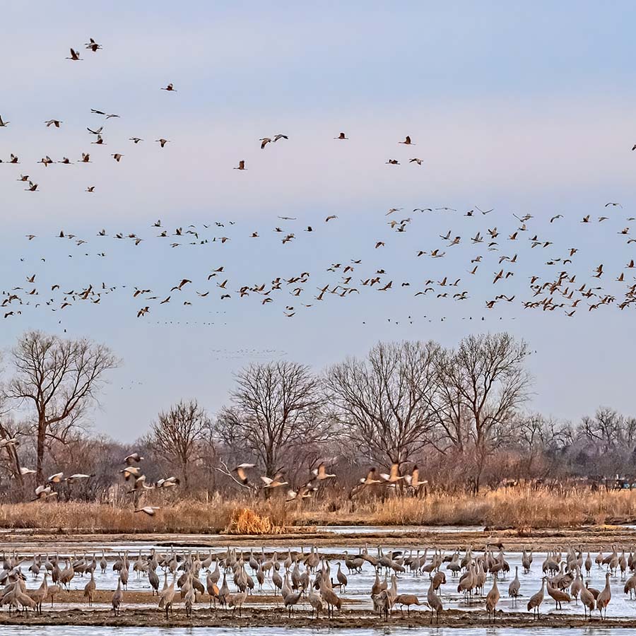Iain Nicolson Audubon Center at Rowe Sanctuary, Gibbon, Nebraska