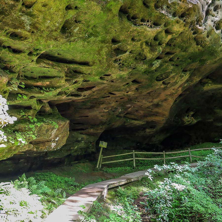 Pickett State Park, Tennessee