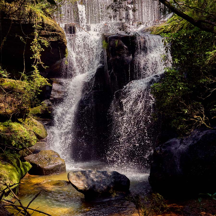 Dismals Canyon, Alabama