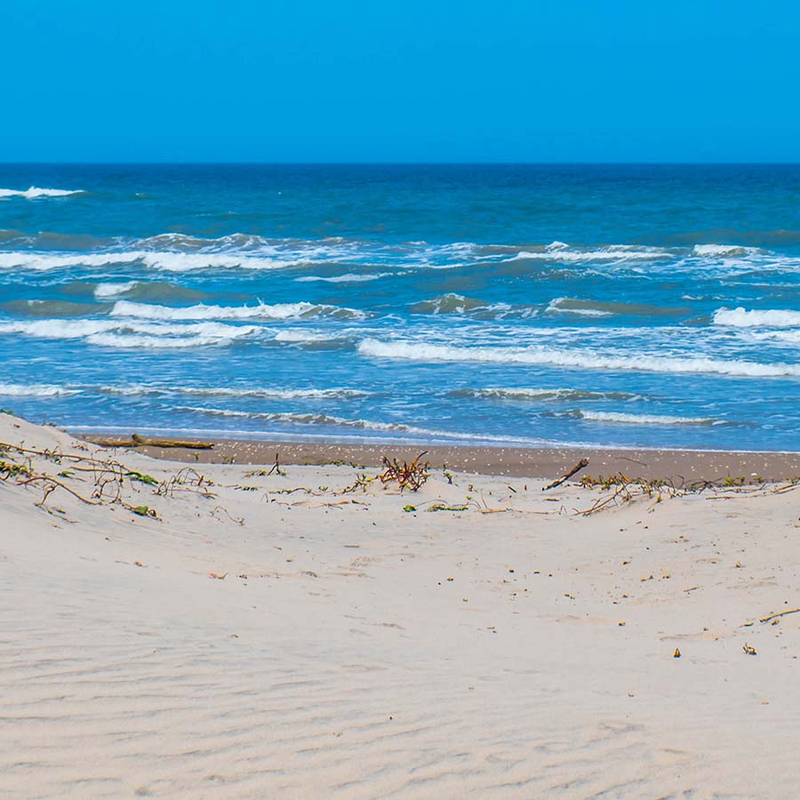 Padre Island National Seashore, North Padre Island, Corpus Christi, Texas