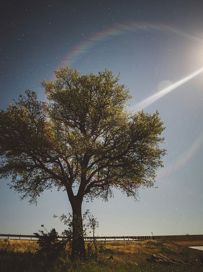 Moonbows