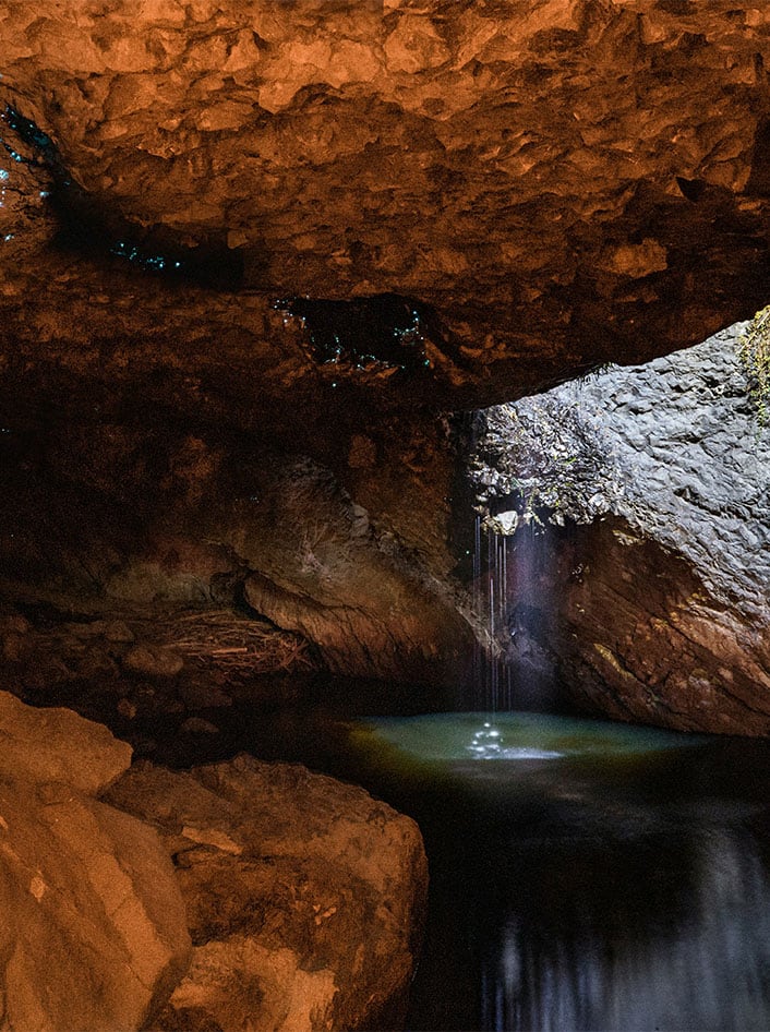 Glow worm caves