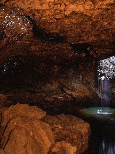 Glow worm caves