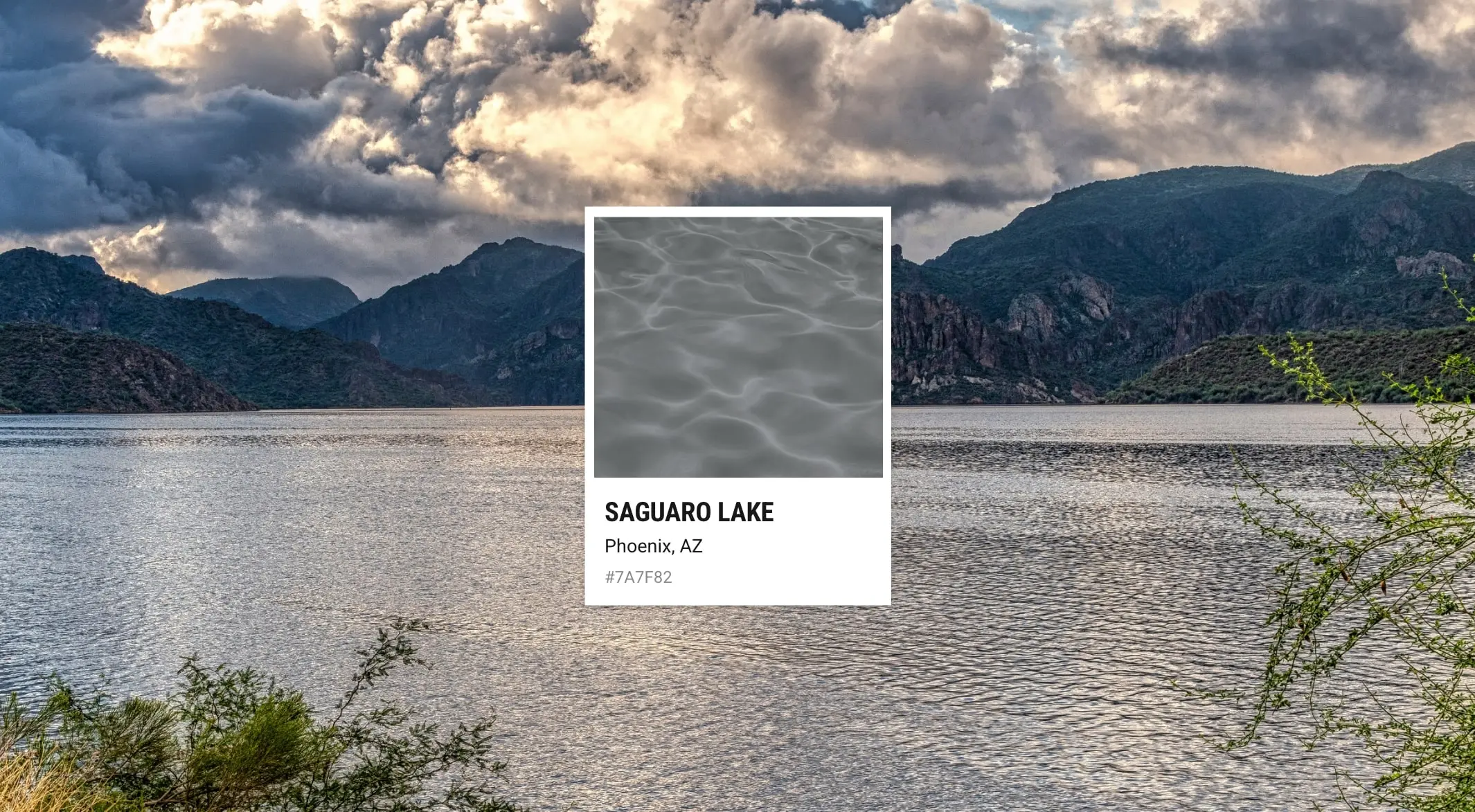 Saguaro Lake