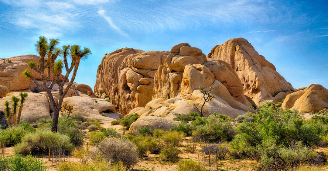 Joshua Tree National Park, CA