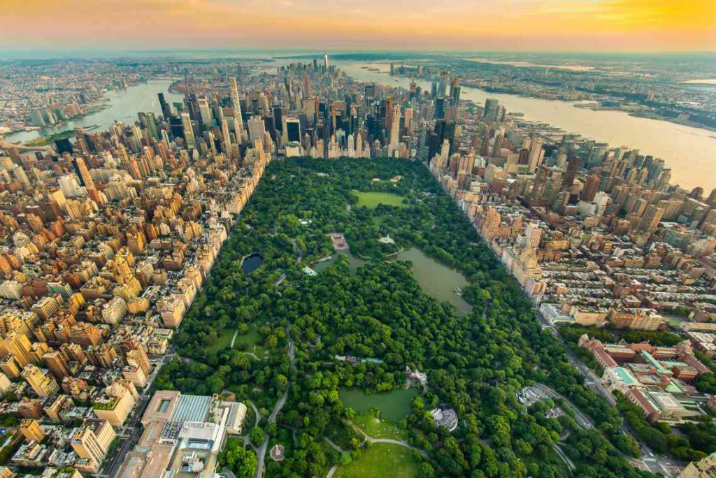 Central Park in the summer