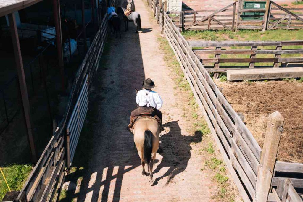 Man riding a horse at the stables.