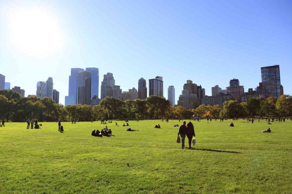 Green grass of Sheep Meadow with buildings in the background.