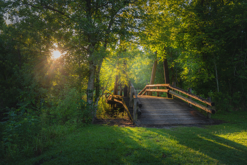 Outdoor spaces at St. Bernard State Park | Glamping Destination | SIXT