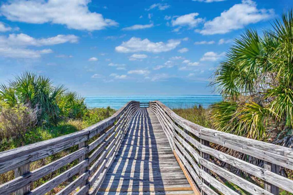 weathered wooden walkway leading through trees to the beach and ocean