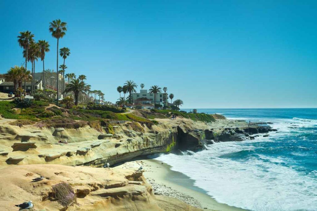 Sunny cove with beach and palm trees