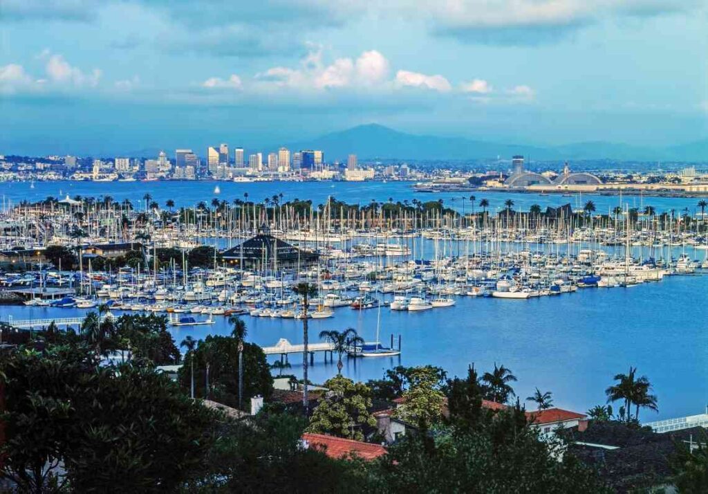 A view of boats in the marina on shelter island san diego