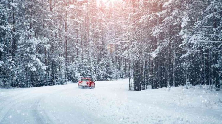 red car driving on a snowy road through pine trees