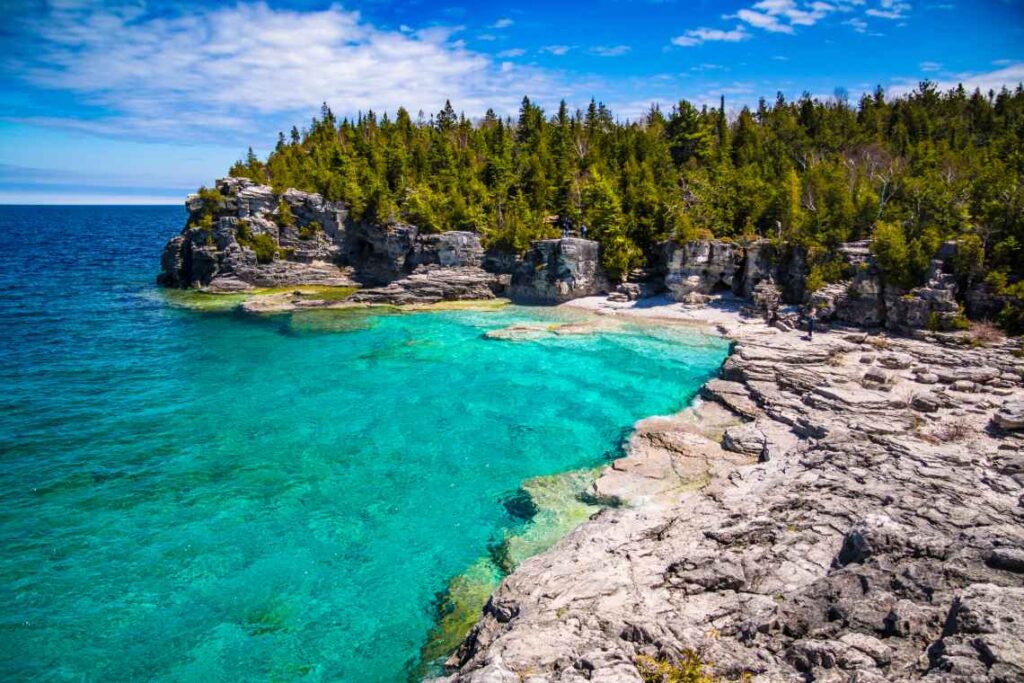 A cove with turquoise waters on a rocky coast with pine trees