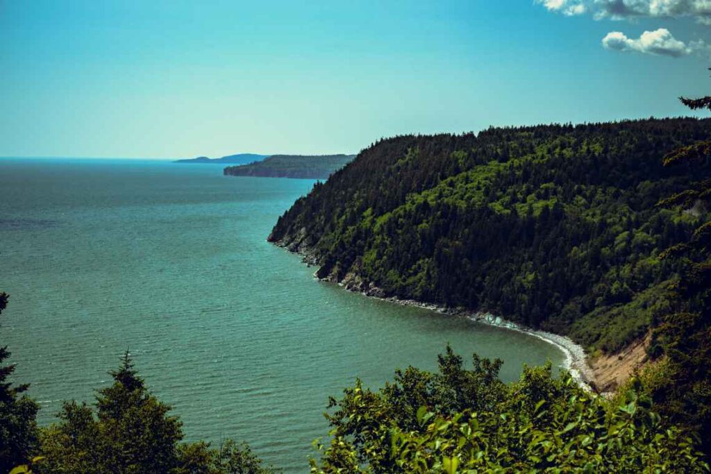 Heavily forested cove with blue-green water