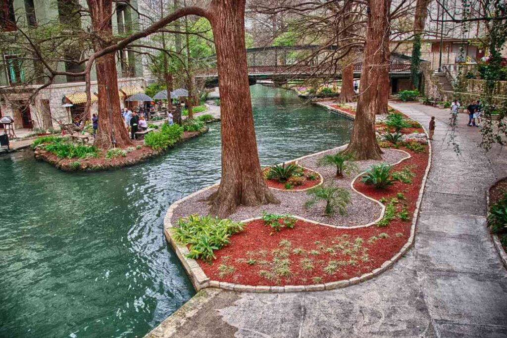 Trees and a walkway along the San Antonio Riverwalk