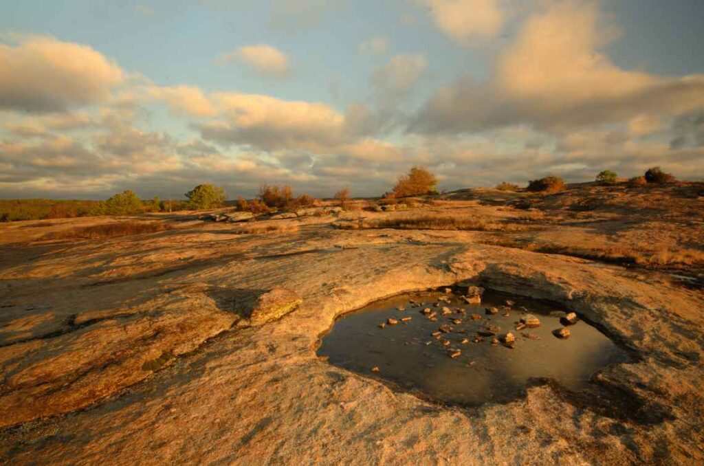 granite landscape with water pools and trees