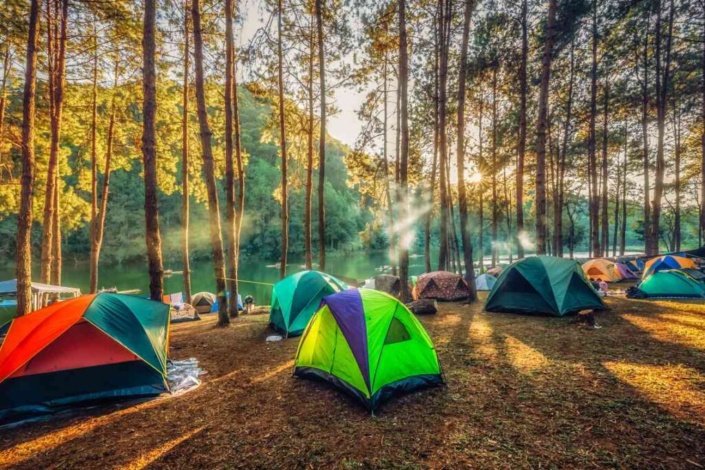 colorful camping tents set up in a forest next to a body of water