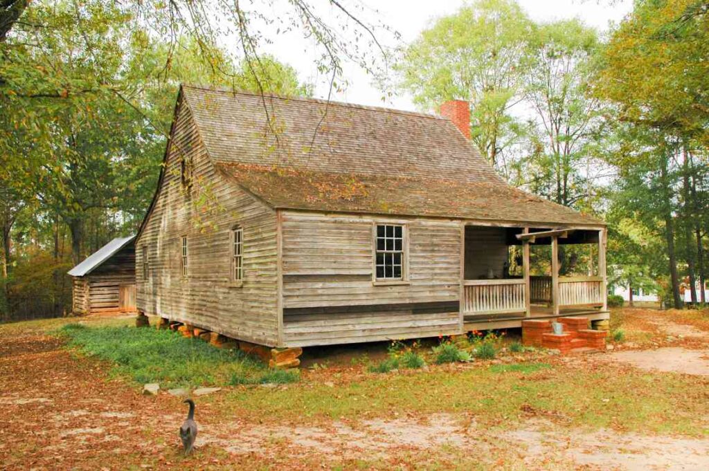 weathered wooden house amid grass and trees