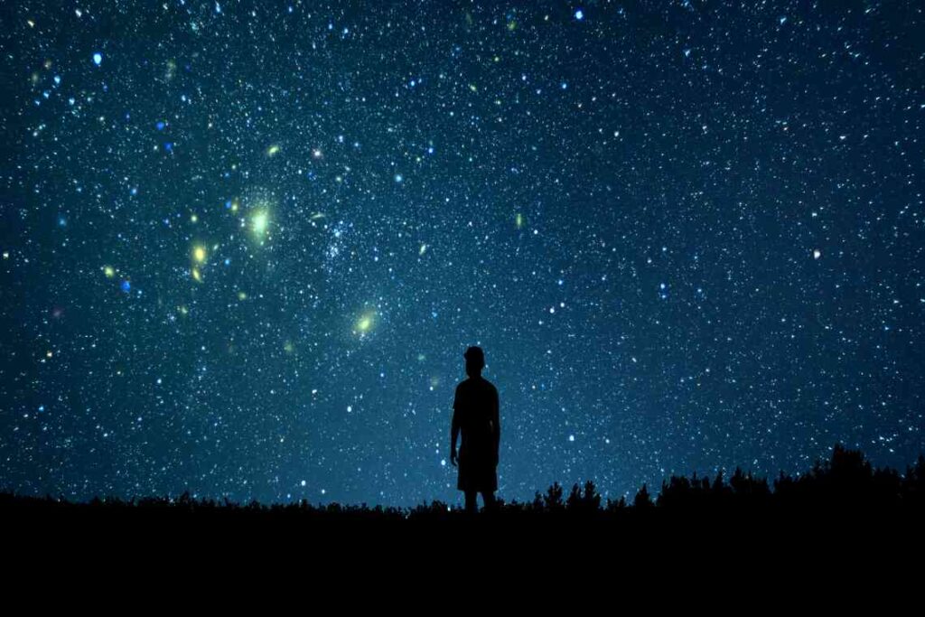 person standing in a field at night with stars in the sky