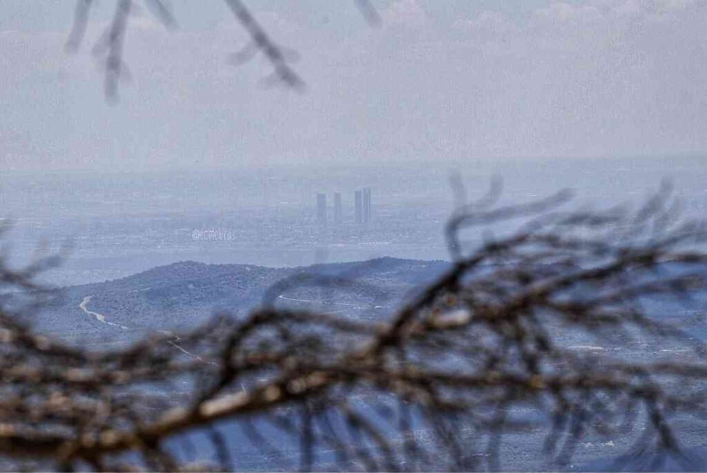 view of madrid through branches from above