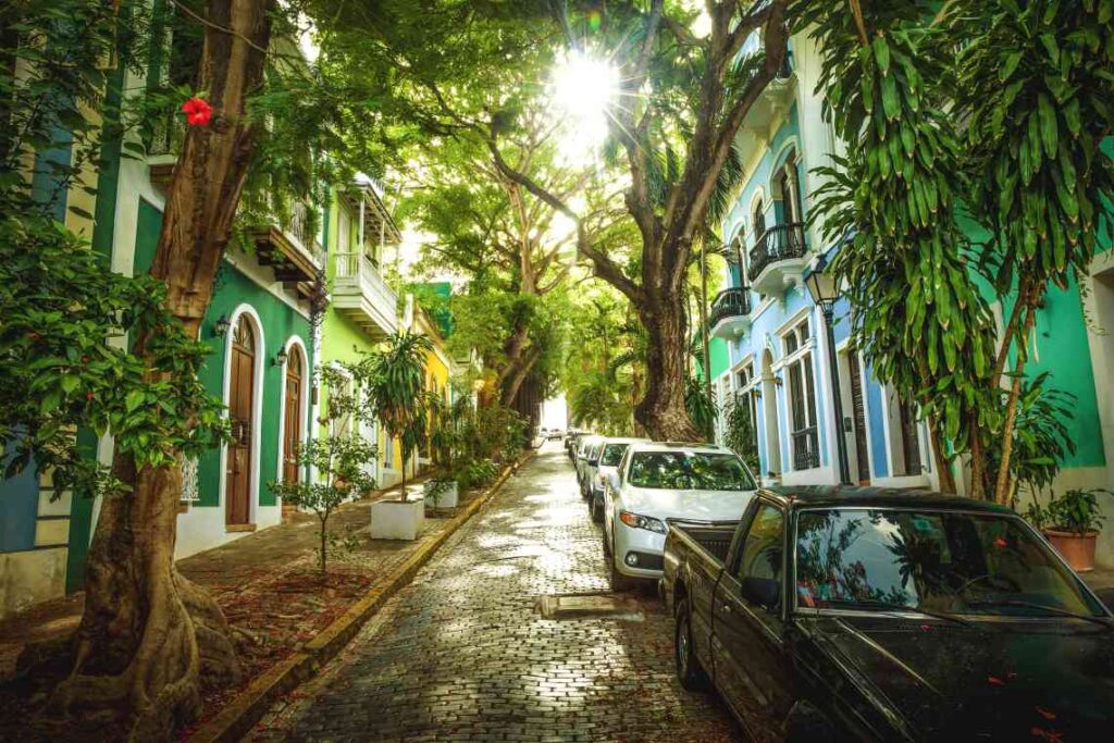 cobblestone street with colorful houses and trees and cars parked on the right