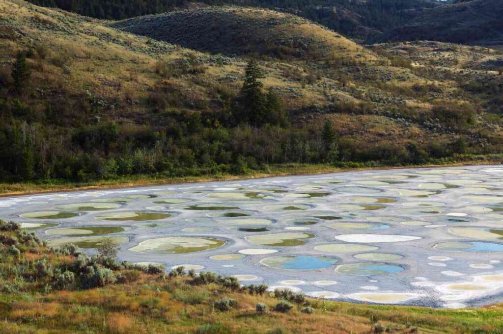 multicolored mineral deposits in dried up Spotted Lake with brown and green hills in the background