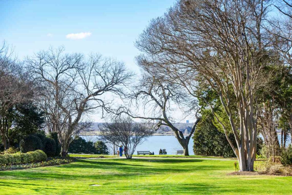 manicured green lawn with trees and sculpted bushes overlooking the water in Dallas