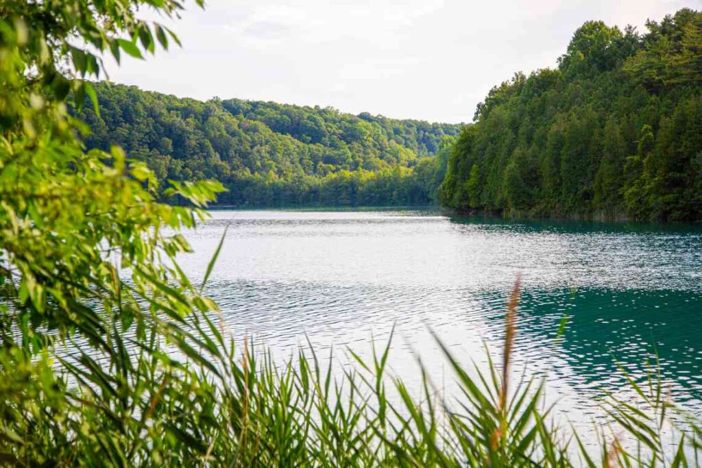 a blue green lake that's part of green lakes state park, surrounded by green forest