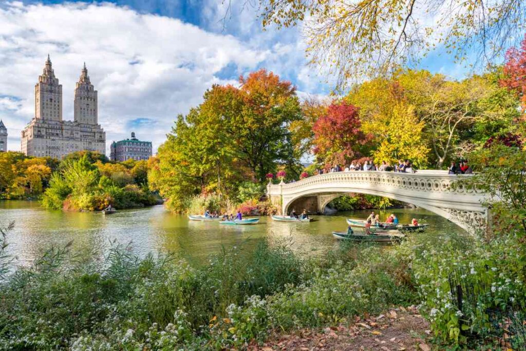 people in rowboats on a lake in new york's central park with a bridge above it and trees with leaves changing colors