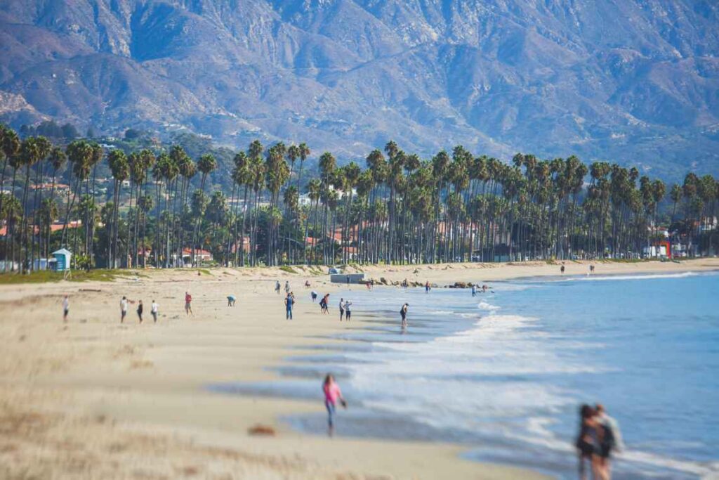 beach with people and palm trees with brown mountains in the background