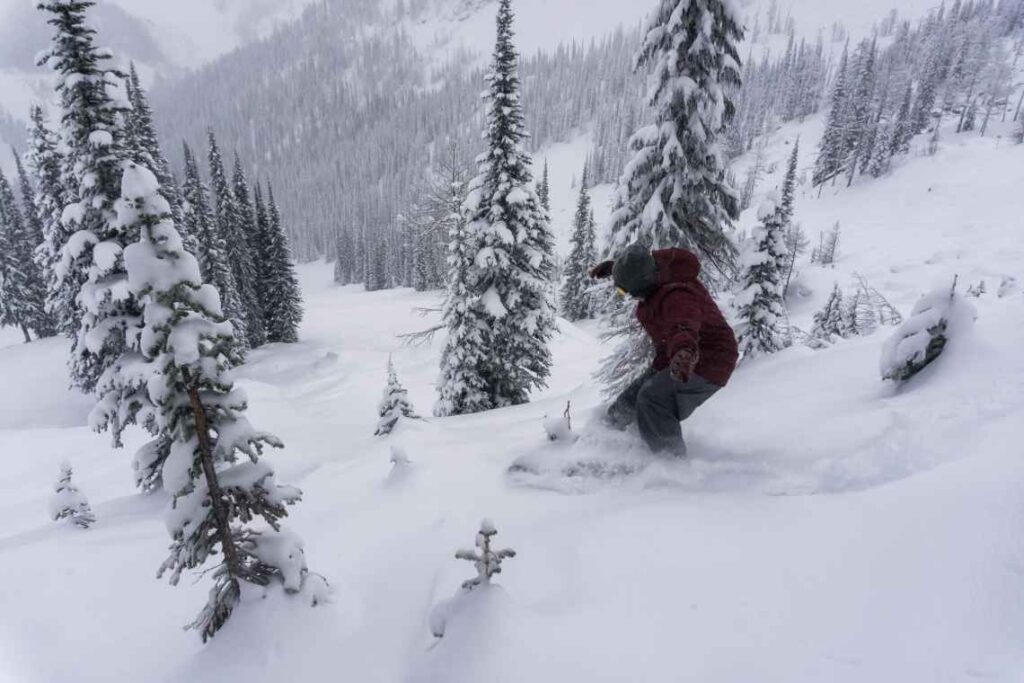 snowboarder between trees on the extreme terrain portion of whitewater ski resort