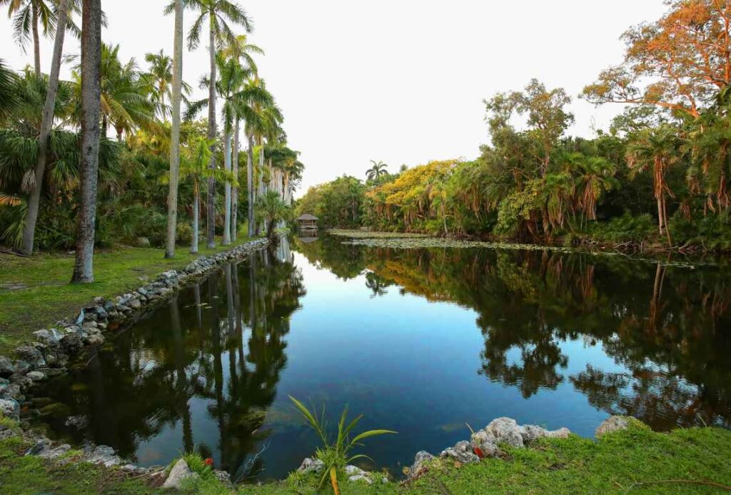 long pond with rocks on the side lined with palm trees and plants