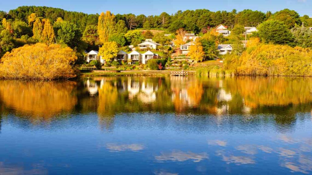 houses on a hill leading from a lake with yellow and green trees