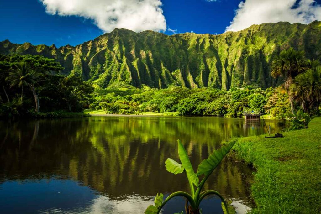 bright green vertical mountains and lush greenery surrounding a pond in botanical gardens on oahu